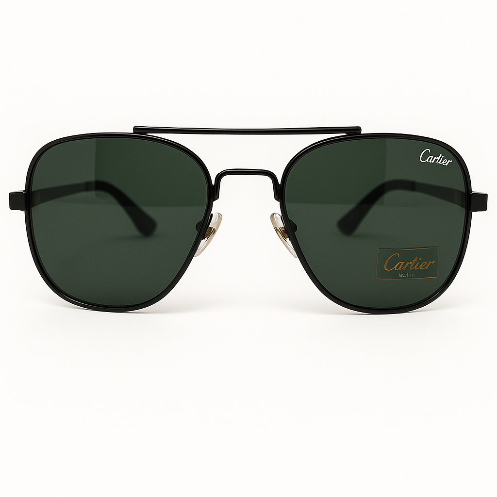 Black & Blue Frame Sunglasses