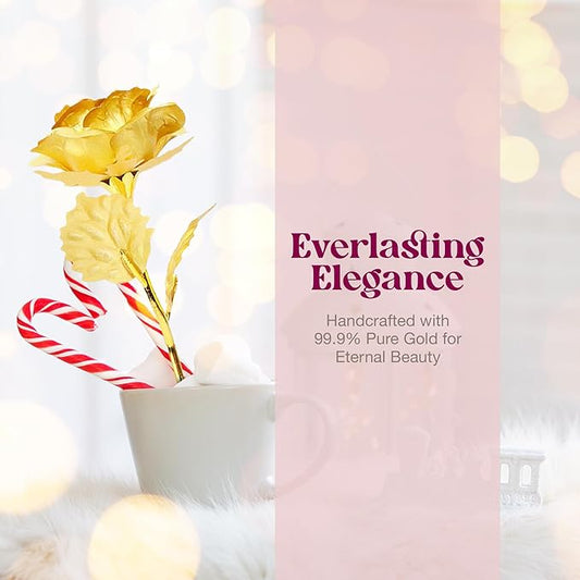 24k Gold Rose with Luxury Gift Box