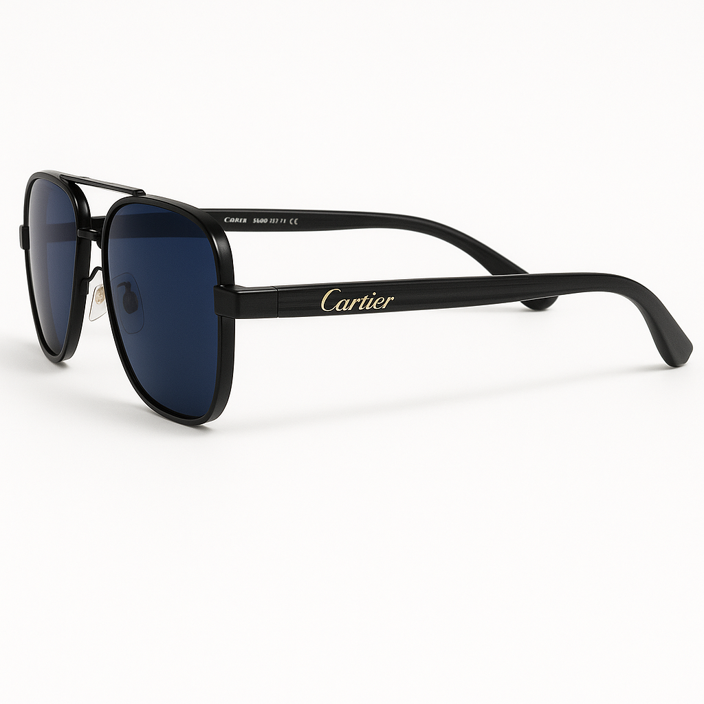 Black & Blue Frame Sunglasses