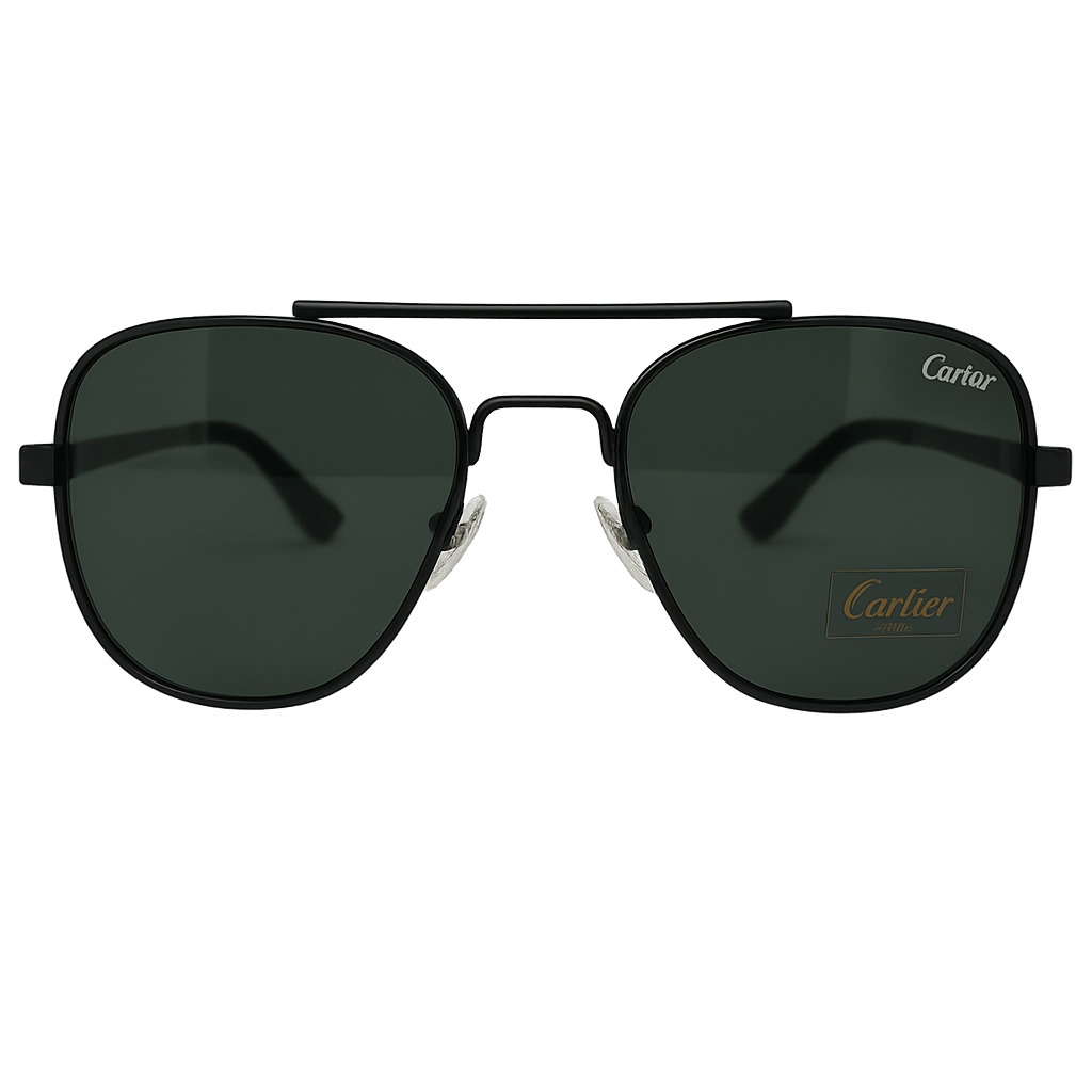 Black & Blue Frame Sunglasses